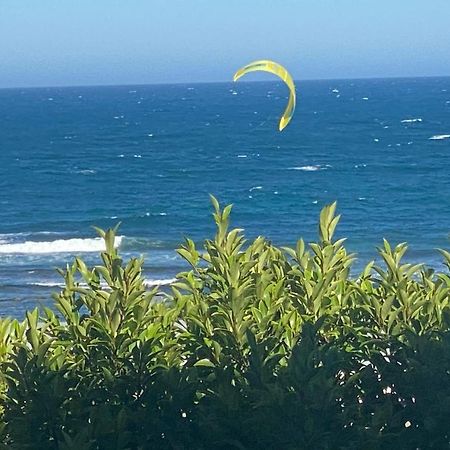 Beach Bungalow On The Ocean.Toowoon Bay エクステリア 写真