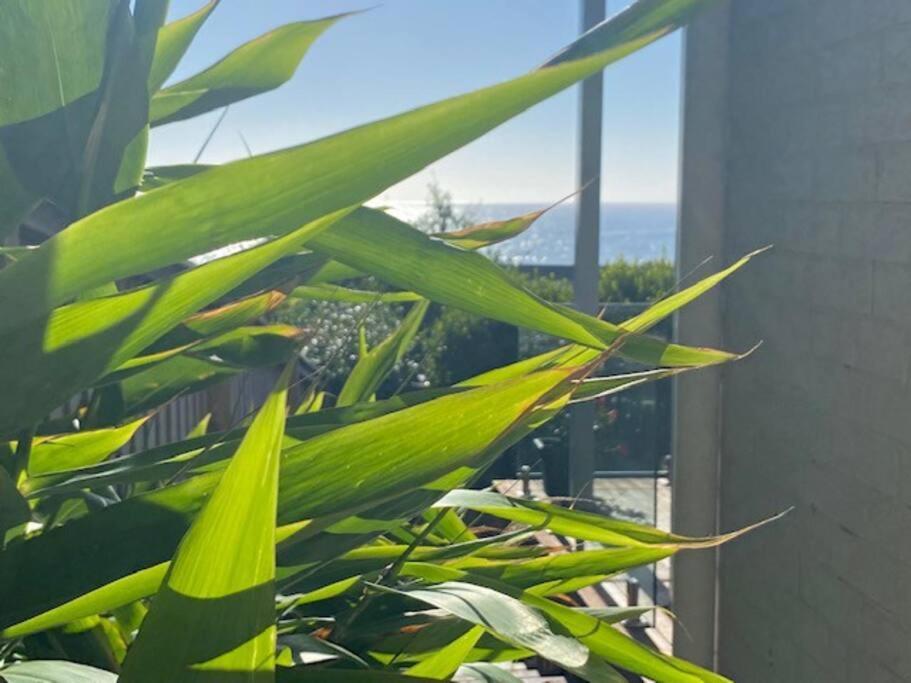 Beach Bungalow On The Ocean.Toowoon Bay エクステリア 写真