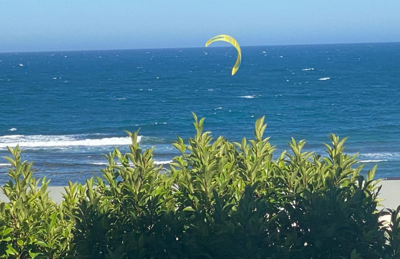 Beach Bungalow On The Ocean.Toowoon Bay エクステリア 写真